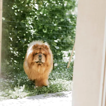 Centocelle Ii - Cozy Design Wi-fi & Ac Apartamento *